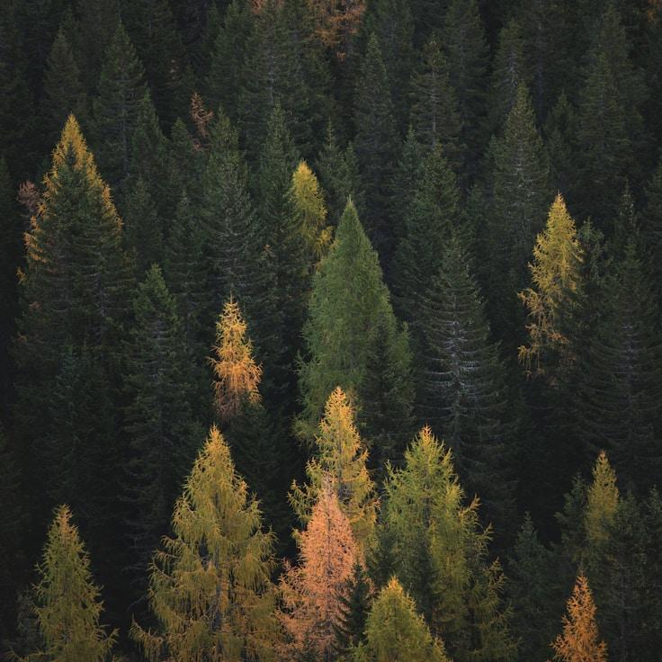 Nature travel hero image